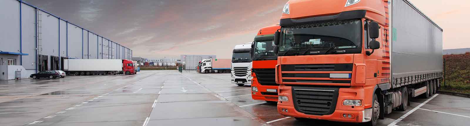 Transportrecht Speditionsrecht